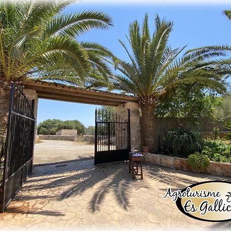 Agroturismo Es Gallicant 캄포스 외부 사진