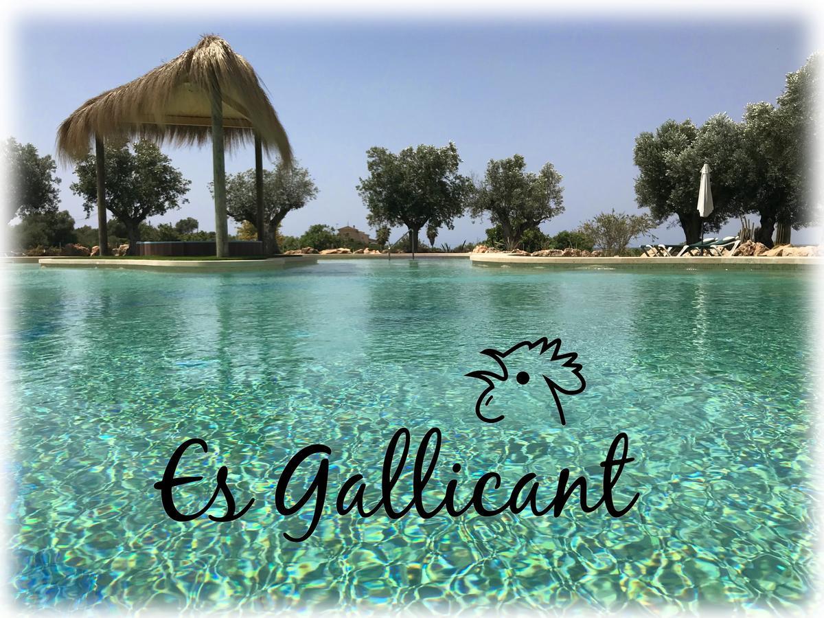 Agroturismo Es Gallicant 캄포스 외부 사진