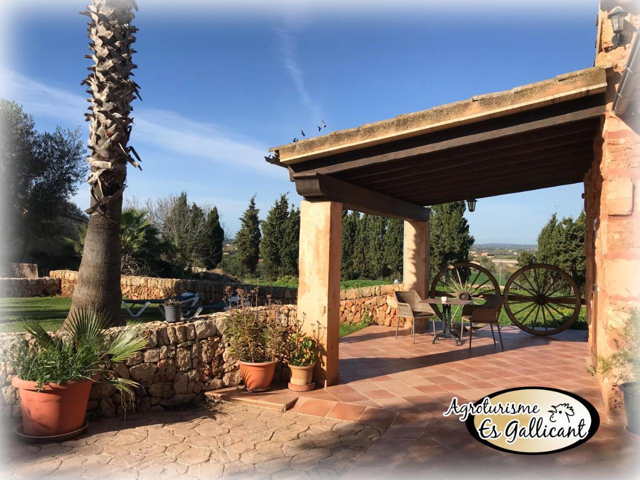 Agroturismo Es Gallicant 캄포스 외부 사진